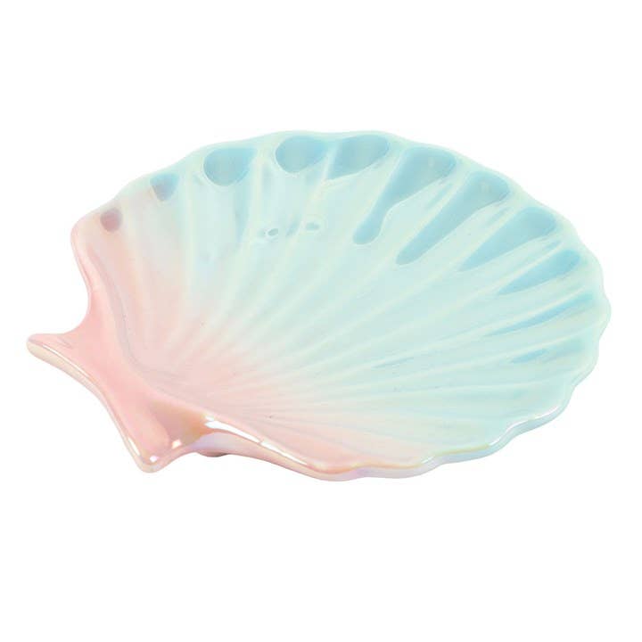 Iridescent shell dish with silver necklace showing scale