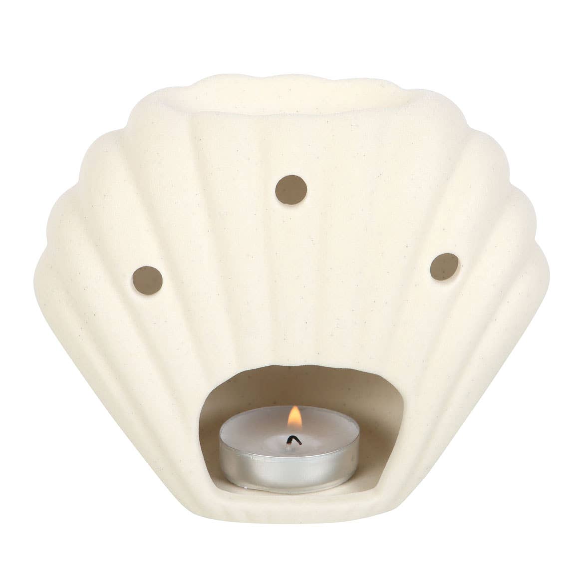 Seashell oil burner showing matte speckled texture and ridged detail