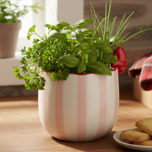 Red ceramic lobster planter with peeking design perfect for succulents