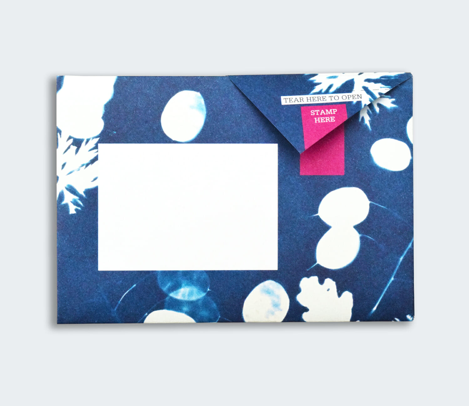 Folded Pigeon letter front with deep blue cyanotype fern and honesty print