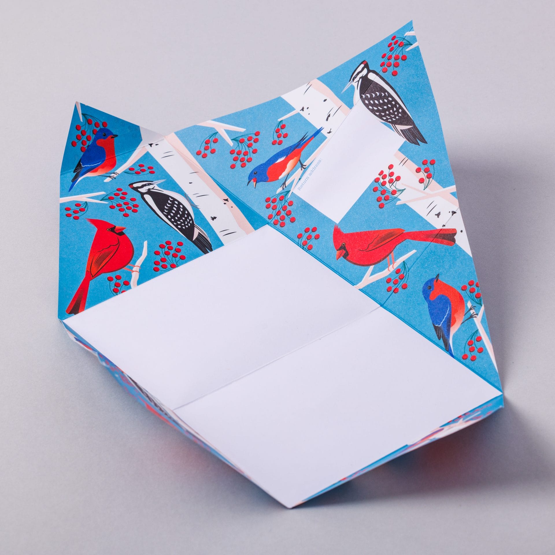 Unfolded Carnival of Colour Pigeon with bird and berry design on grey background