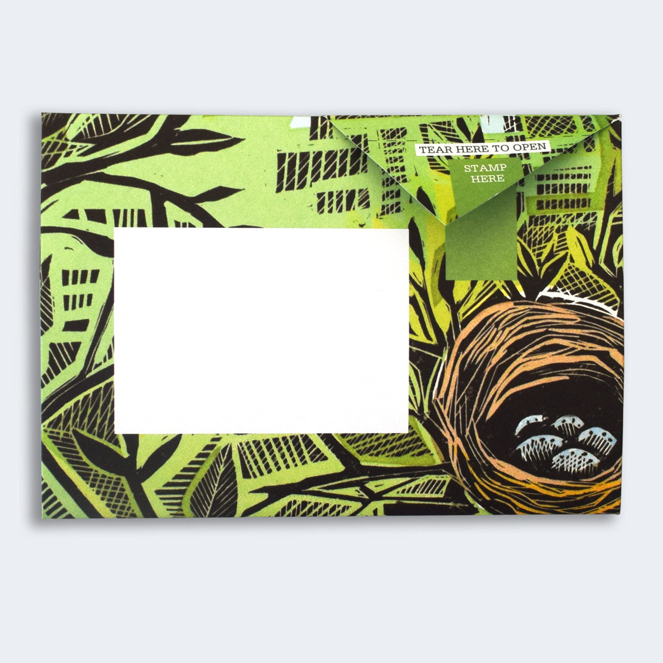 Folded Pigeon letter with wildlife illustration on green background sixth variant