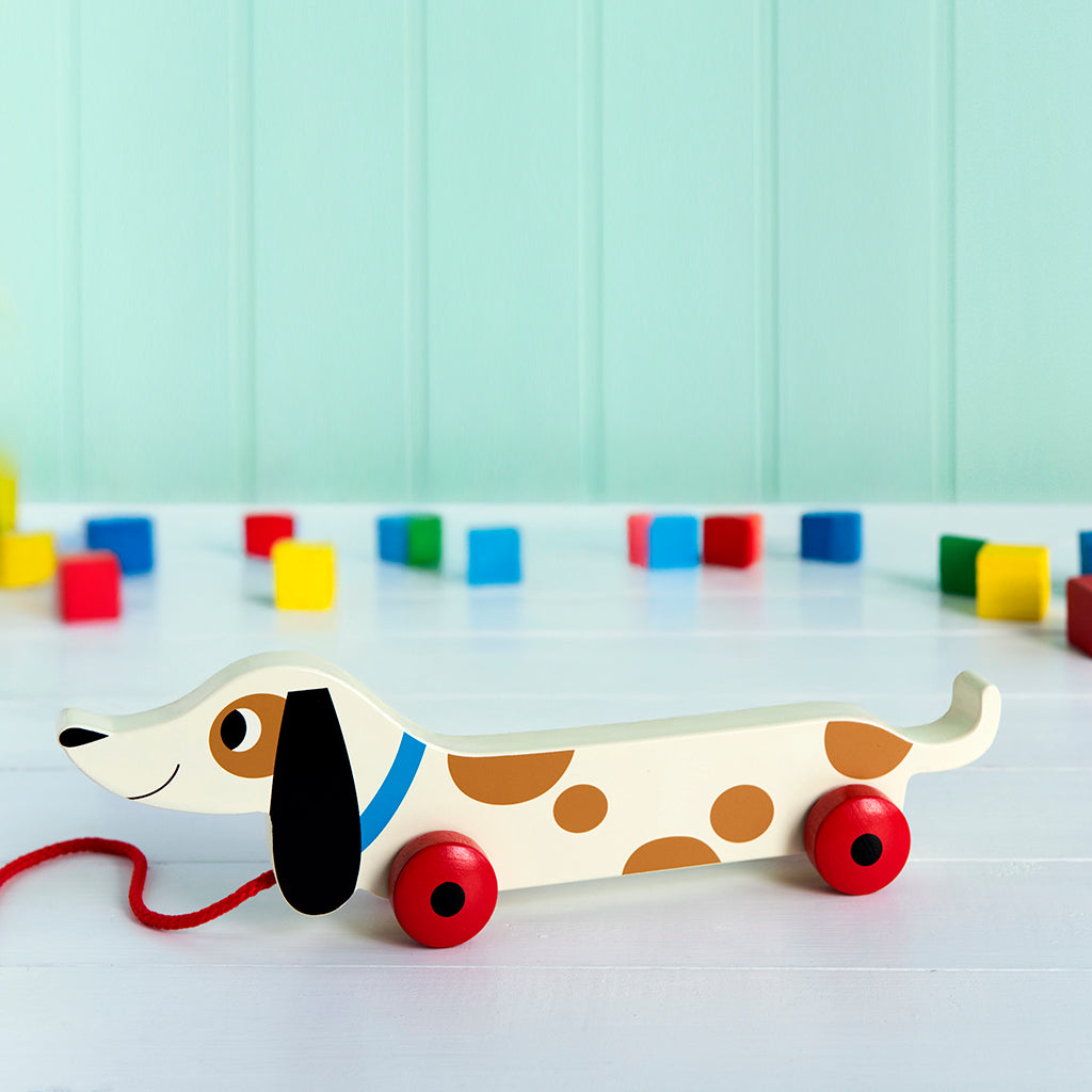 Charlie the sausage dog wooden pull toy on floor with colourful blocks behind