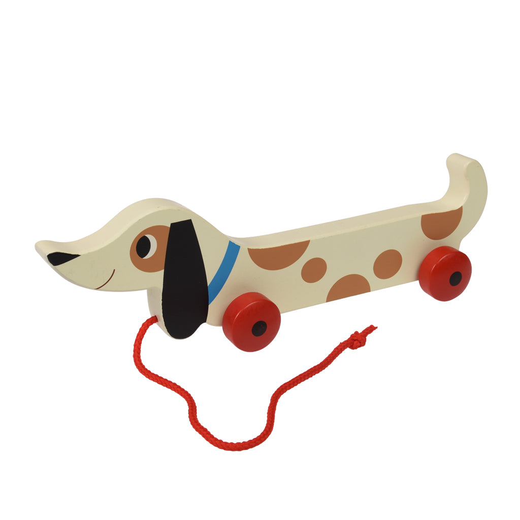 Charlie sausage dog pull toy angled view showing red string on white background