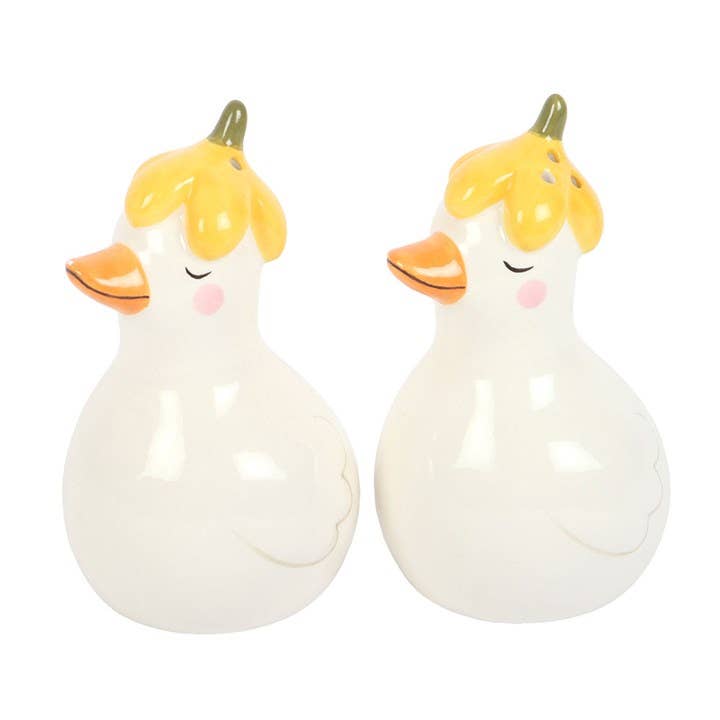Ceramic duck salt and pepper shakers with daisy hats on white background