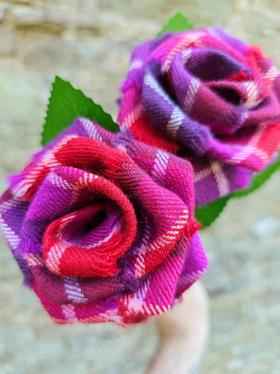 Love of Scotland tartan stem roses close up in pink and purple